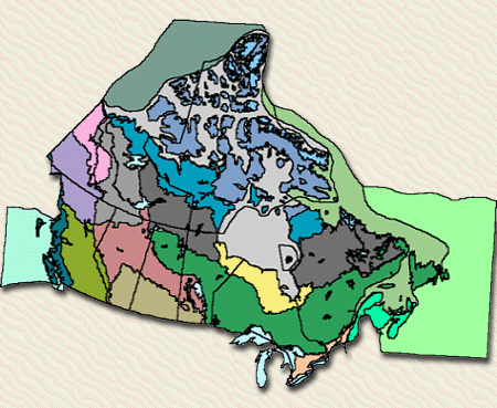 Canada's Terrestrial and Marine Ecozones