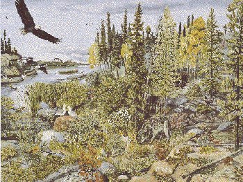  Animals and Birds of The Taiga, Flora and Fauna of